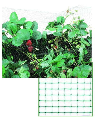 Vigor Rete Plastica Antiuccelli Verde 12X12 Mm 5 M H. 200 Cm