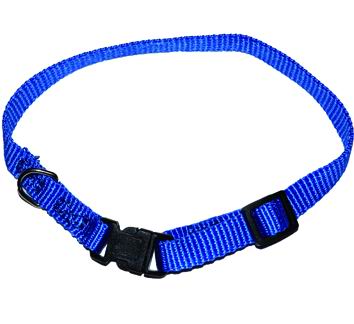 Collari P/Cani Vigor Poliestere Small 23-32 Cm