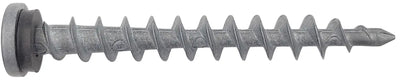 in Zama - immagine 1