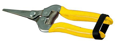 Forbici Cogliuva Vigor Lame Diritte Inox 185 Mm