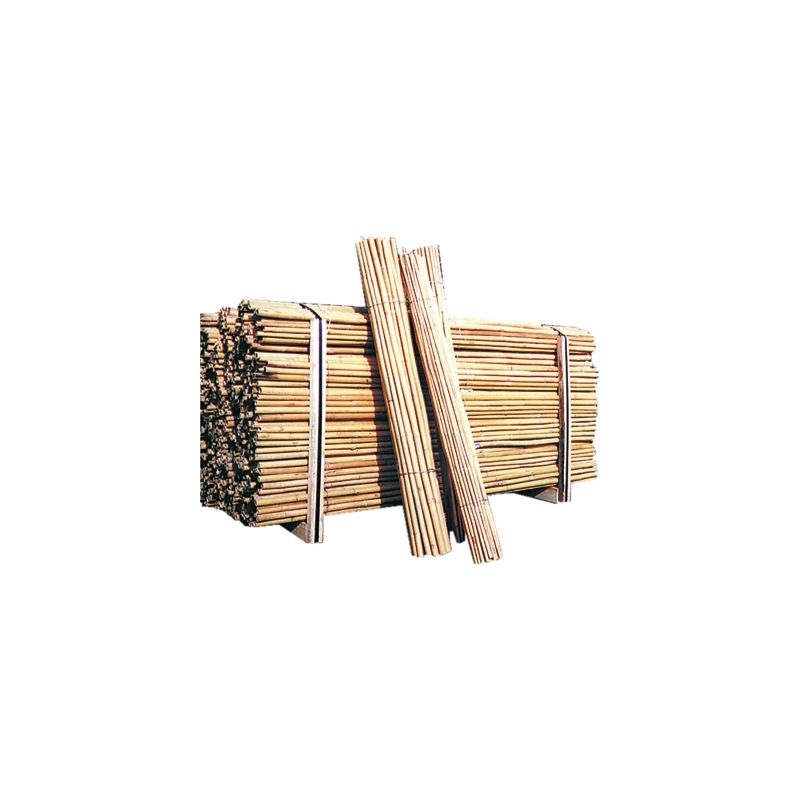 CANNE IN BAMBU'