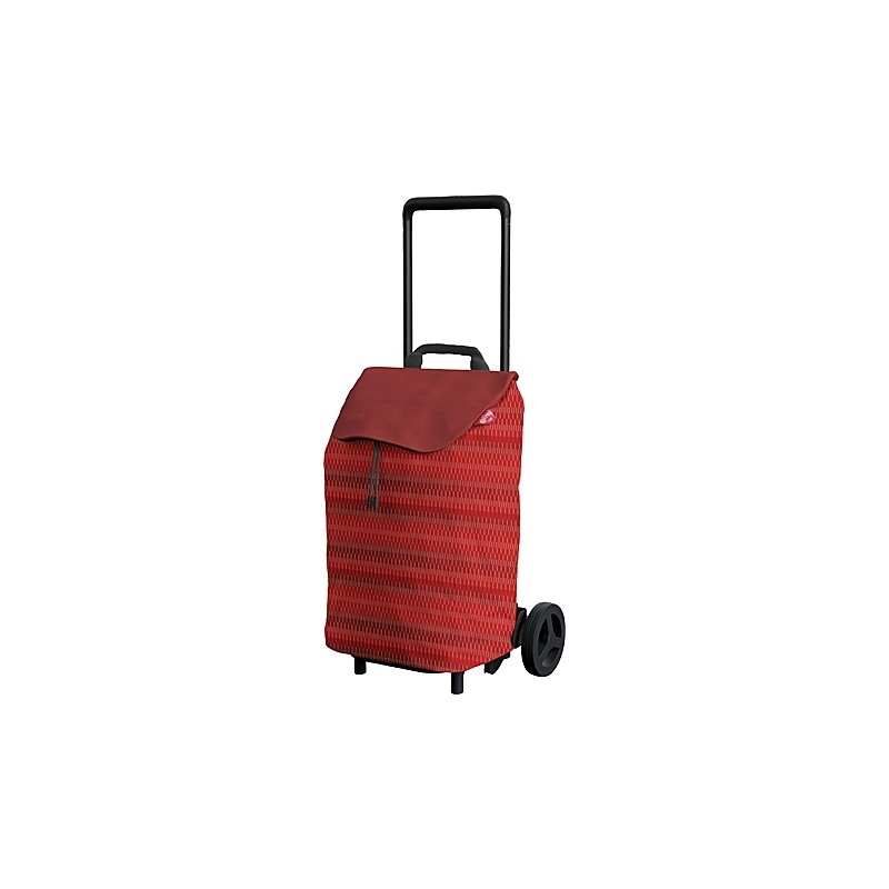 CARRELLO SPESA EASY