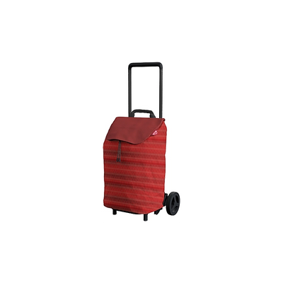 CARRELLO SPESA EASY