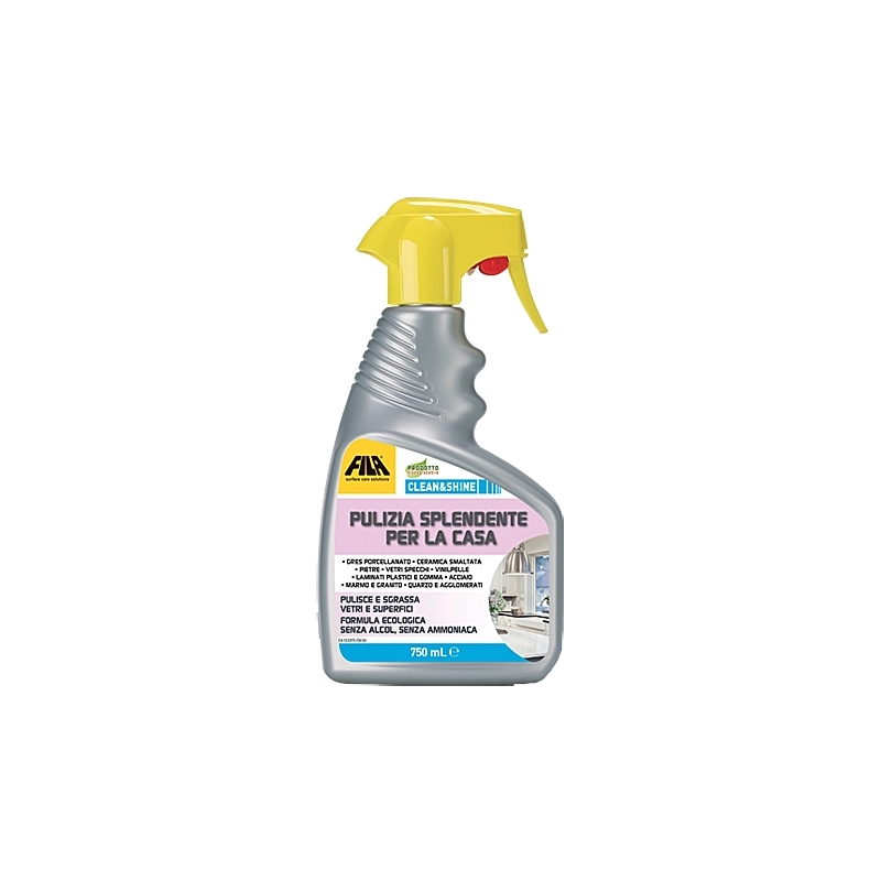 DETERGENTE SPRAY CLEAN E SHINE