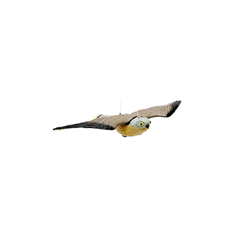 FALCO DISSUASORE