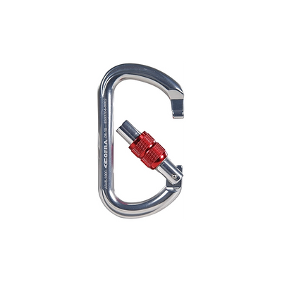 MOSCHETTONE LIGAM SCREW