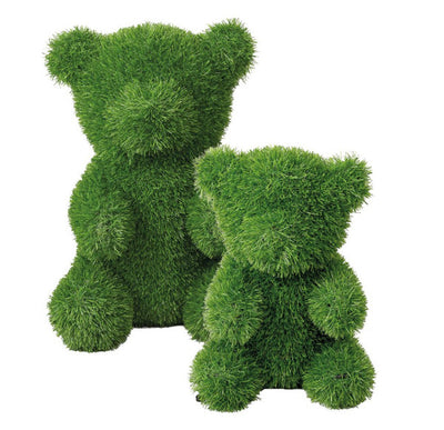 Cespuglio ORSO Verdelook