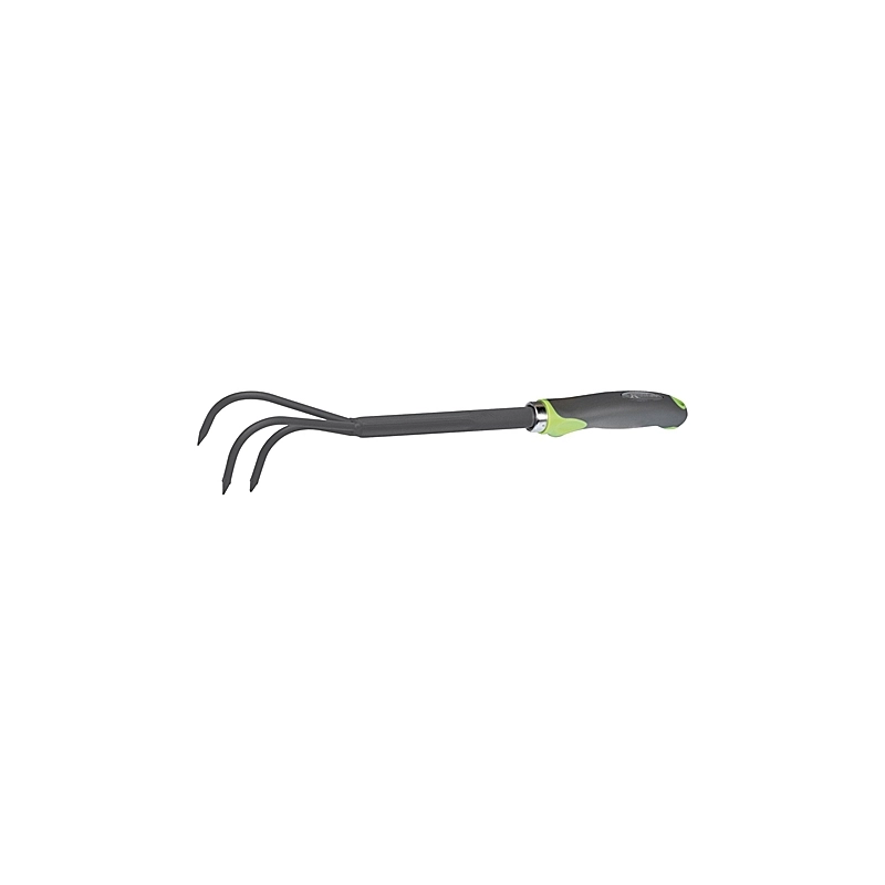 RAGNO 3 DENTI