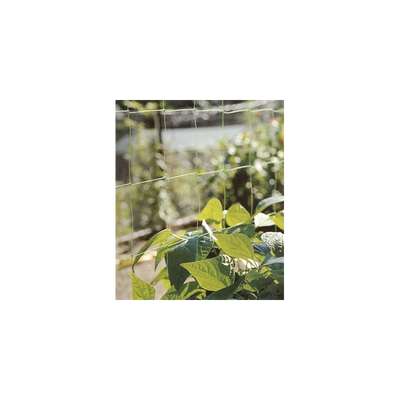 RETE FLORA