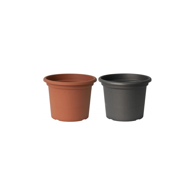 VASO GEO