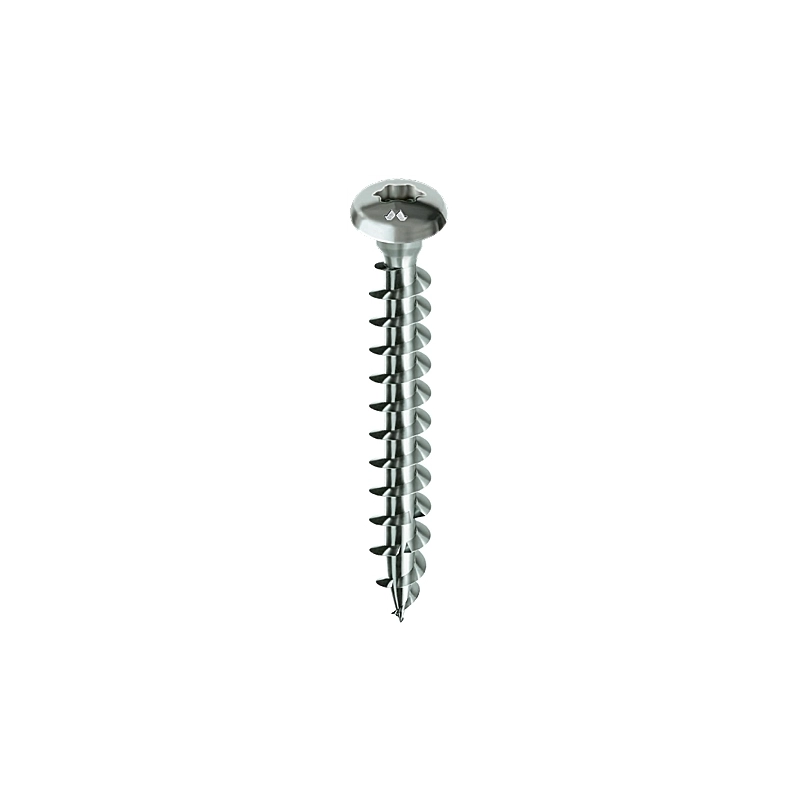 Viti chromiting torx